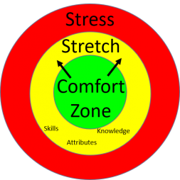 Comforst Zone