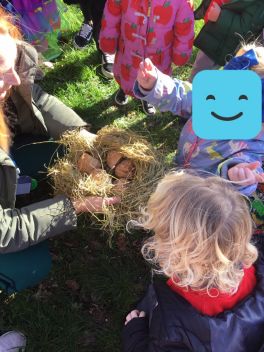 71BABF1CAC3745AC91D39DB88BBC0435