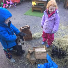 109D4D9F4ECB45DB80B50481C3AA846B 2