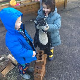 D8E064069662423B8CA9EB5B739F944D 2